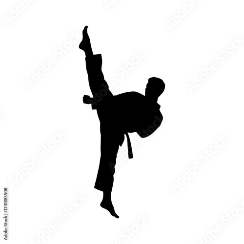 Silhouette icon vector design of a taekwondo high kick