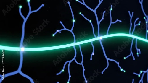 Valve Hinge Macro - Leaflets Glide Silently, Clear-Flow Ring Expands Past the Seam