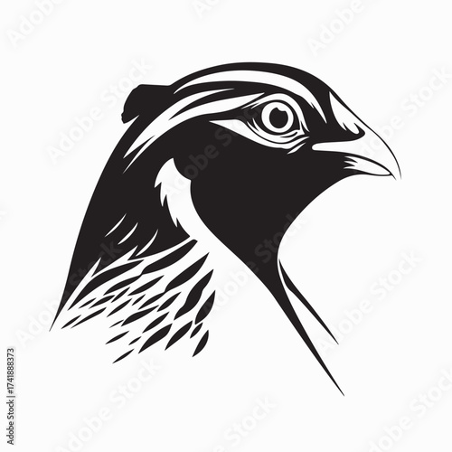 Partridge Bird Head Image Vector Isolated on white background