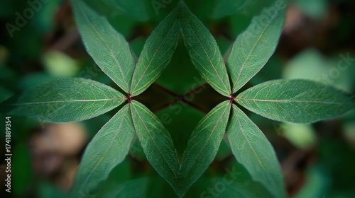 Overlapping Leaves Symmetry, Blurred Background Highlighting Textured Leaf Patterns.