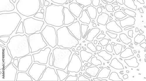 This image features a pattern of interconnected organic shapes and forms in monochrome, creating a captivating black and white design resembling a complex cellular structure or abstract network