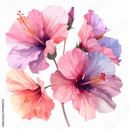 Watercolor Painting of a Cluster of Pink and Purple Hibiscus Flowers.