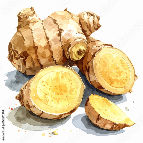 Watercolor illustration of fresh ginger root and slices.