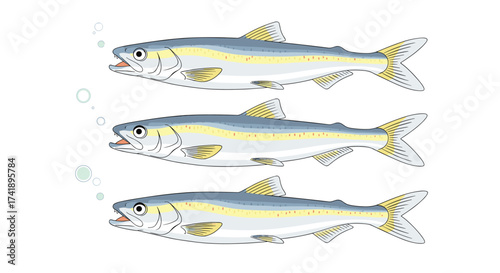 Three fish swimming together in clear water with bubbles rising.