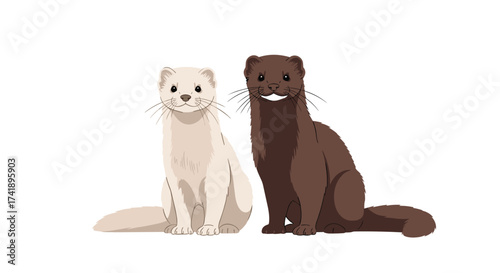 Two minks one white and one brown sitting side by side.