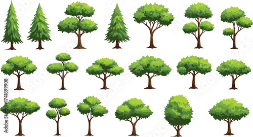 Collection of different green tree illustrations, isolated cartoon forest elements, various deciduous and conifer trees, nature design vector graphics