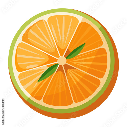 Orange Cross Section Vector
