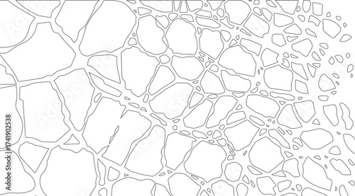 A monochrome illustration showcases irregular polygon shapes outlined in dark gray, creating an abstract mosaic pattern that transitions from larger to smaller elements on a white backdrop