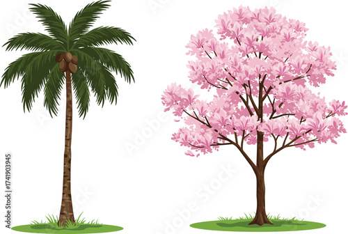 Coconut palm tree and pink blossom tree, tropical and temperate contrast, botanical illustration, grassy field, vibrant foliage, floral landscape, stock image