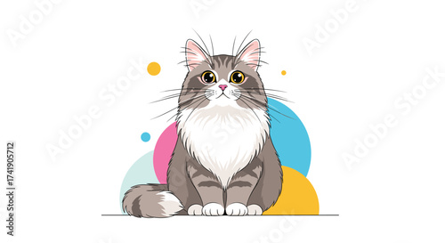 A fluffy grey and white cat sits patiently looking forward.