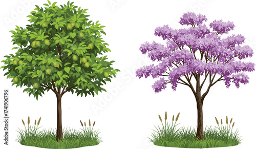 Fruit tree, blossom tree, pear tree, purple flowers, nature contrast, spring garden, seasonal trees, vibrant foliage, orchard scene, landscape beauty