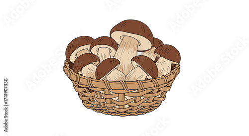 A basket full of delicious porcini mushrooms ready for harvesting and cooking.