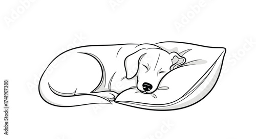 A peaceful dog sleeping soundly on a soft pillow enjoying its slumber.