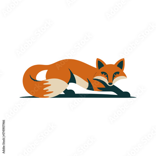 Fox animal wildlife nature predator mammal hunter forest cunning wild outdoors zoo