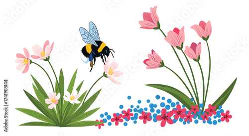 A bumblebee visits pink and white flowers in a meadow.
