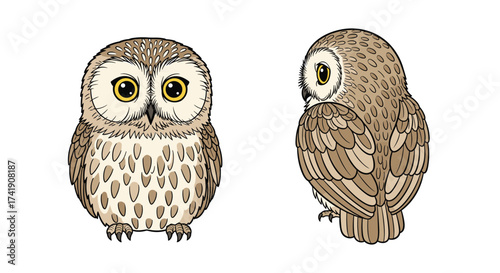 Two charming depictions of a small fluffy owl shown from the front and side.