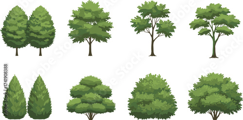 Collection of green trees and bushes illustration, natural foliage elements, outdoor forest plants, eco friendly garden landscape, summer greenery vector.