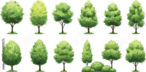 Collection of green trees and bushes illustration, natural foliage elements, summer outdoor park landscape, eco friendly nature background, garden decoration vector.