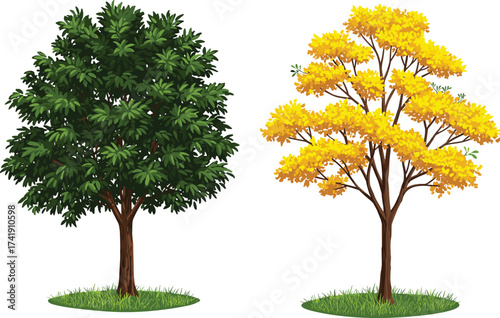 Green tree, yellow tree, seasonal contrast, autumn leaves, lush grass, nature diversity, vibrant foliage, landscape scene, outdoor plants, tree species