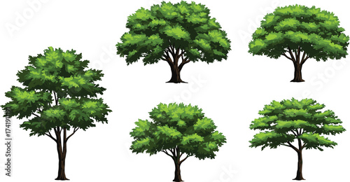 Collection of green trees illustration, natural forest design, eco friendly garden elements, summer foliage plants, organic landscape decoration, botanical nature artwork