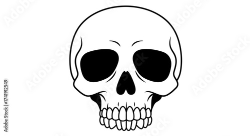 Hand drawn skull face front view detailed sketch of human cranium organic lines for artistic creative design and tattoo concepts isolated on white background