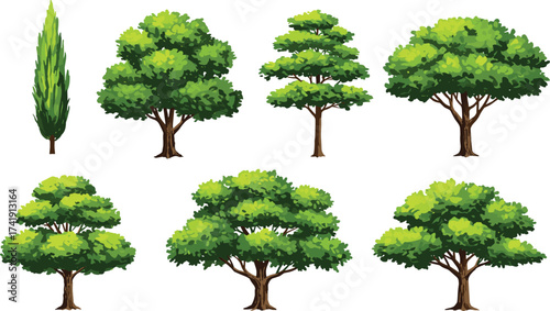 Collection of green trees illustration, realistic forest plants, natural landscape design, garden vegetation, park trees, outdoor ecology, decorative nature elements, foliage