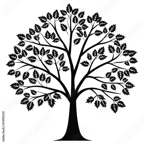 A black silhouette of a maple tree