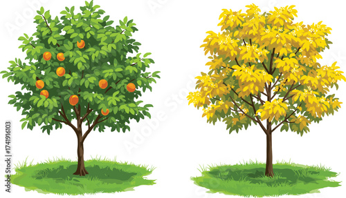 Orange fruit tree and yellow leaf tree on grassy patch, seasonal contrast, botanical diversity, nature illustration, foliage variation, landscape artwork