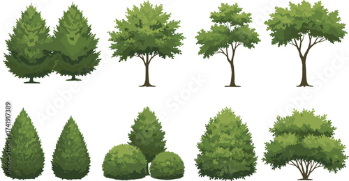 Collection of realistic green trees, garden plants, natural foliage, outdoor landscape elements, park decoration, woodland vegetation, nature environment illustration design.Collection of realistic 