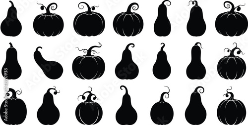 Black Silhouettes of Pumpkins and Gourds in Various Shapes for Autumn, Thanksgiving, Botanical, Harvest, Halloween, and Seasonal Design Themes