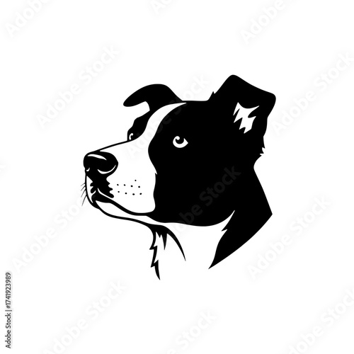 A striking black and white silhouette illustration of a border collie dog s head in profile looking to the left isolated on white background isolated on transparent background