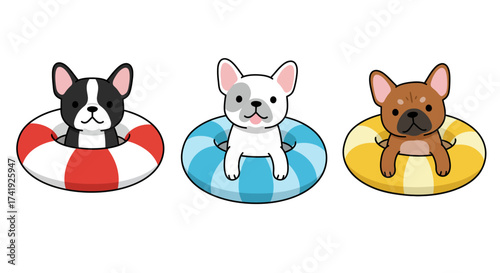 Adorable french bulldogs enjoying summer fun floating on inflatable rings in clear water isolated on white background