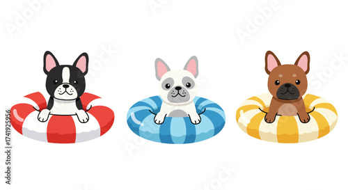 Three adorable french bulldogs enjoying summer vacation relaxing on colorful inner tubes ready for fun isolated on white background