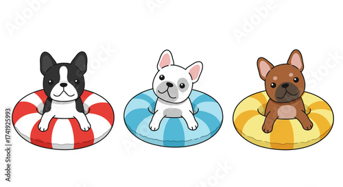Three adorable french bulldog puppies enjoying a refreshing swim in colorful inner tubes on a bright day isolated on white background
