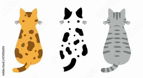 Three distinct cat breeds viewed from behind showing unique fur patterns and colors adorable feline companions isolated on white background