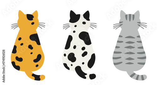 Three cute cats sitting facing away from viewer showing backs diverse fur patterns orange calico black white spotted grey tabby isolated on white background