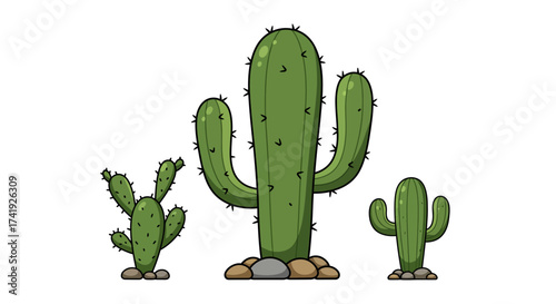 Desert landscape trio cactus plants green spiky stems rocky base isolated on white natural desert flora tropical botanical garden wild west scene mexican desert isolated on white background