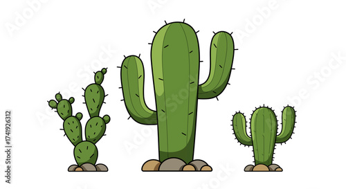 Three distinct green desert cacti stand tall showcasing their unique prickly textures and arid climate resilience against a clean backdrop isolated on white background