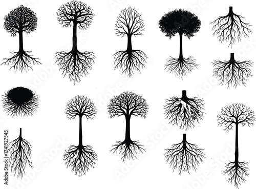 Tree root silhouettes, botanical shapes, nature design, forest elements, unique canopy forms, ecology art, vector trees, root structure illustration
