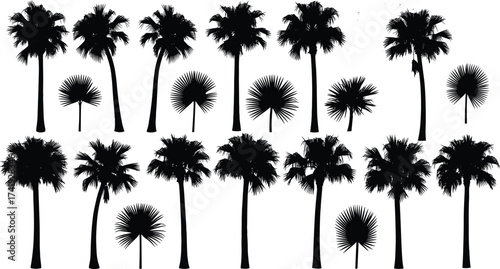 Silhouette palm trees collection, tropical landscape illustration, exotic nature design, beach vacation vibe, summer paradise background, botanical diversity, island scenery art
