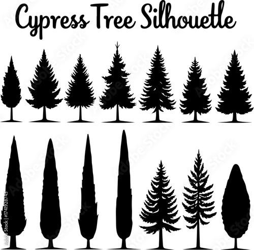 Cypress Tree Silhouette Collection