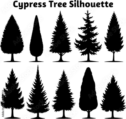 Cypress Tree Silhouette Collection