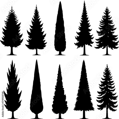 Cypress Tree Silhouette Collection