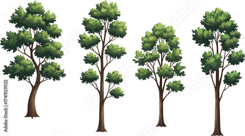 Four stylized green trees with varied canopy shapes and trunk structures, top view for nature design, garden asset, flat vector illustration