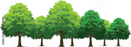 Row of seven deciduous trees with varied green foliage shades, stylized top view for garden design, nature asset, flat vector illustration