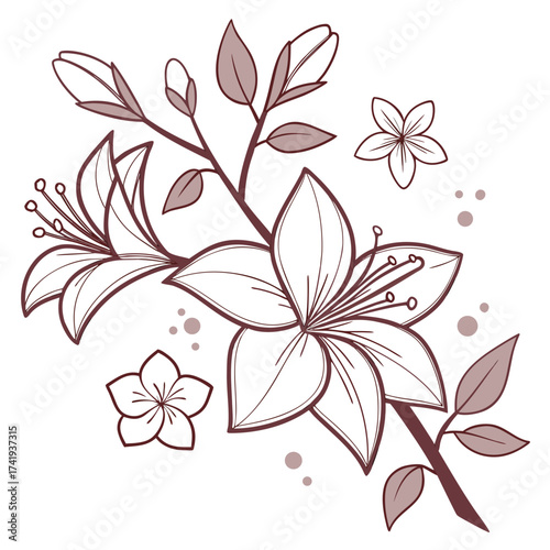 Elegant Floral Illustration Delicate Lilies and Blossoms in a Graceful Design
