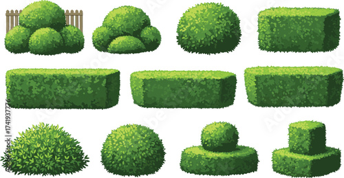 Green garden bushes and hedges illustration, natural trimmed plants, outdoor landscaping design, decorative foliage, park shrubs, backyard greenery, topiary shapes.Green garden bushes and hedges 