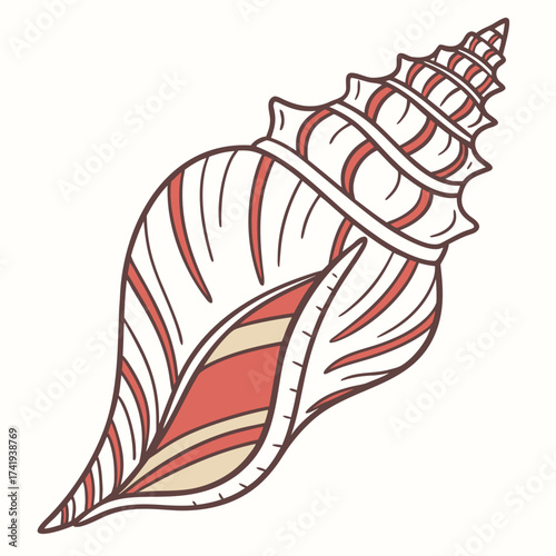 Colorful seashell illustration perfect for coastal designs or marine-themed projects