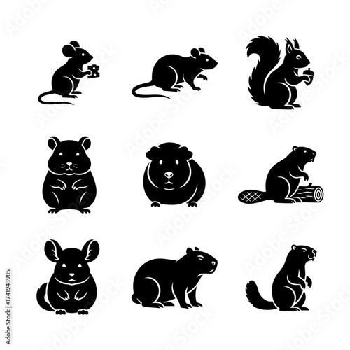animal