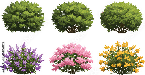 Green shrubs, flowering bushes, colorful garden plants, spring blossoms, vibrant outdoor landscaping, decorative foliage, natural hedge design, seasonal nature background illustration